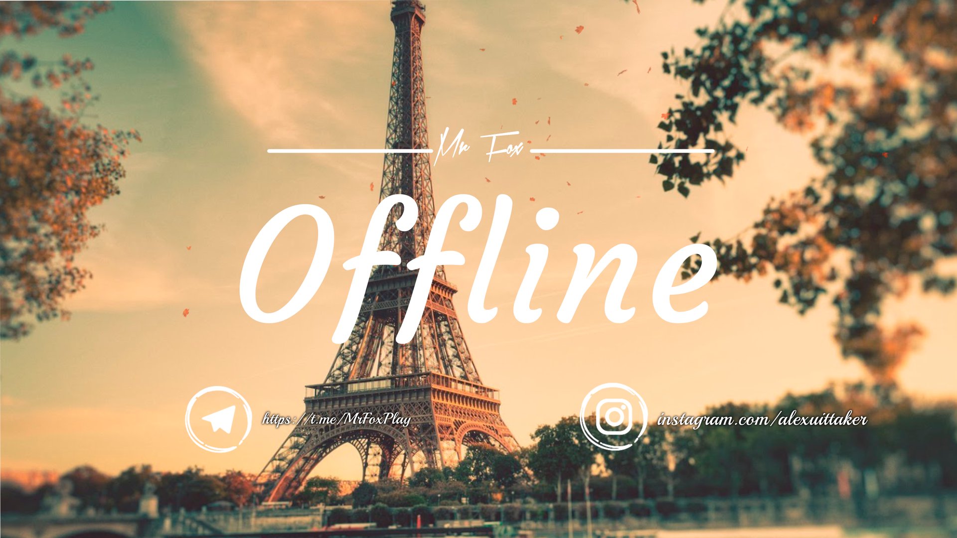 MrAlexRedFox banner
