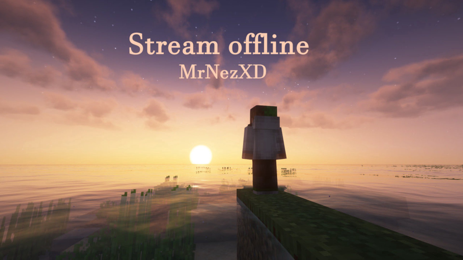 MrNezXD banner