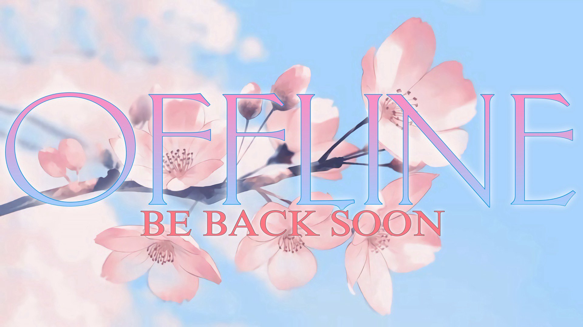 msangellotusVT banner
