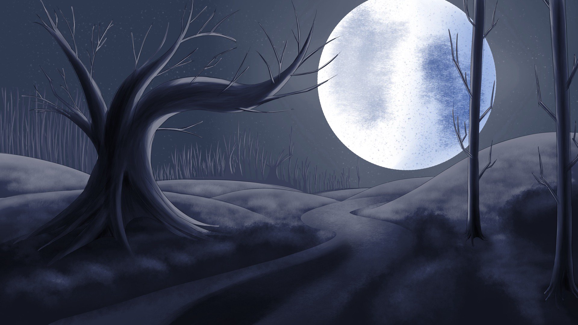 MsFancyBones banner
