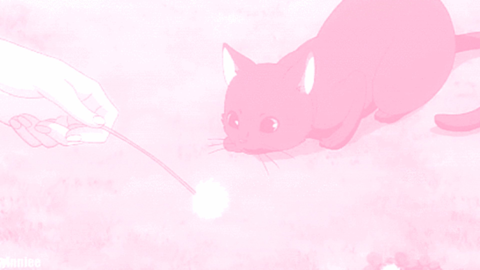 Muxo4ka banner
