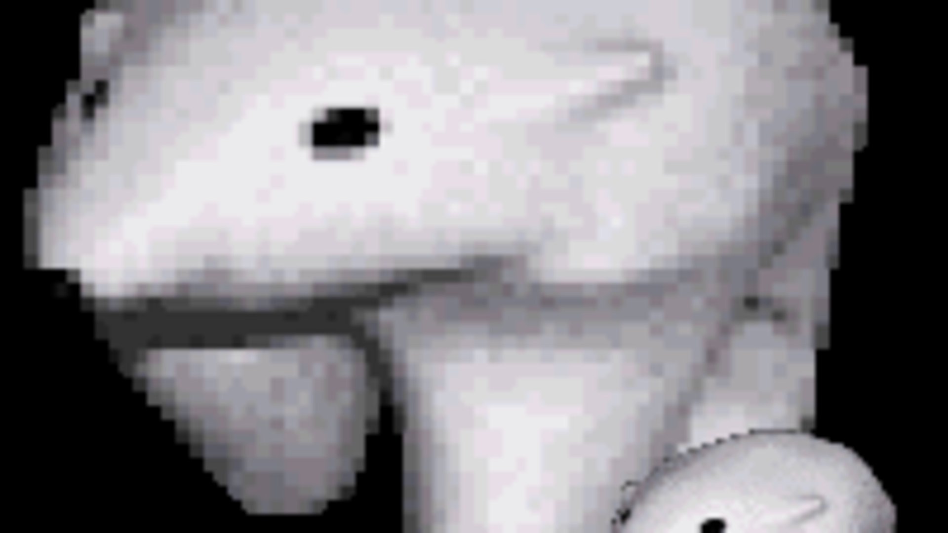 mywwk banner