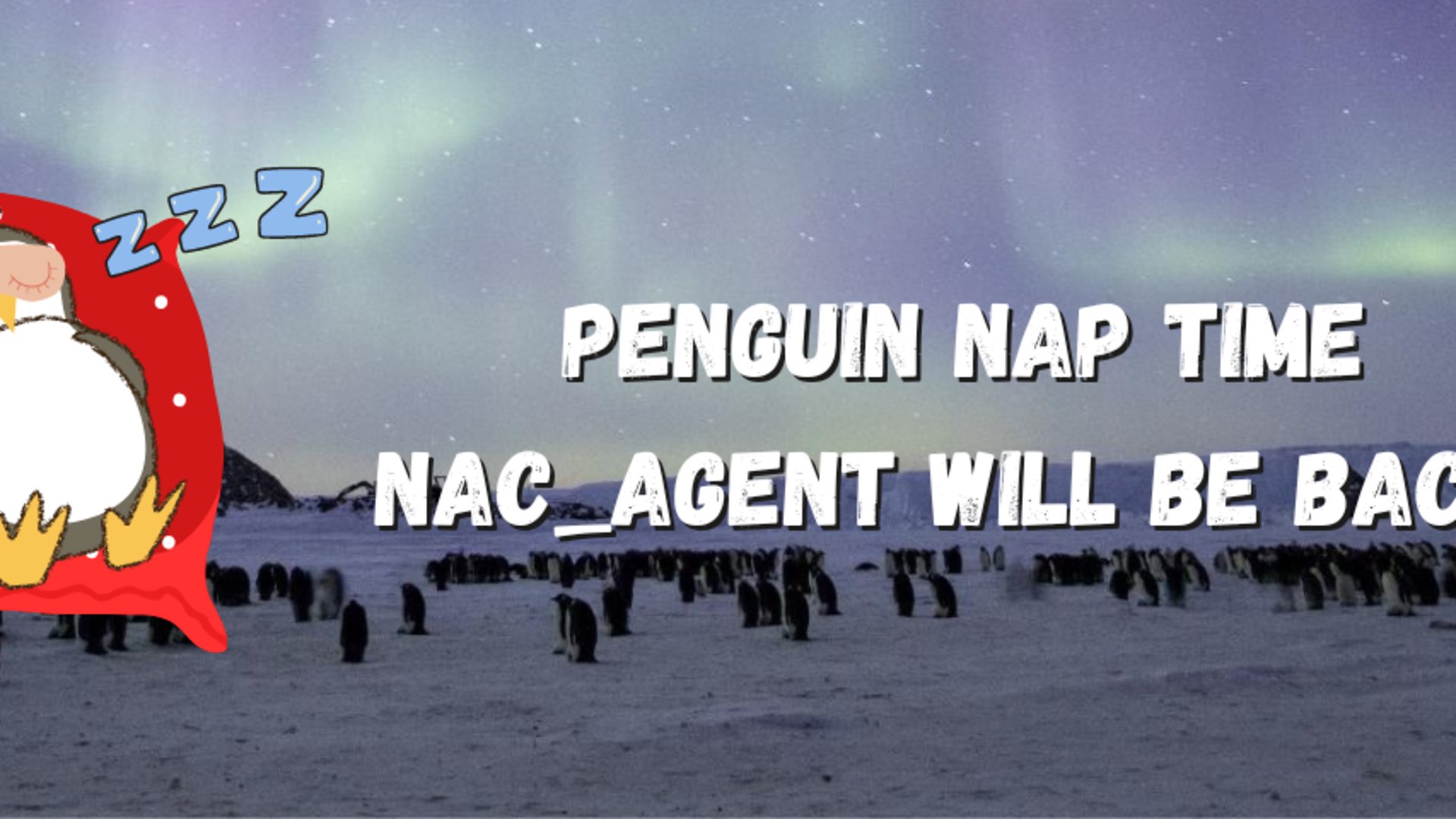 nac_agent banner