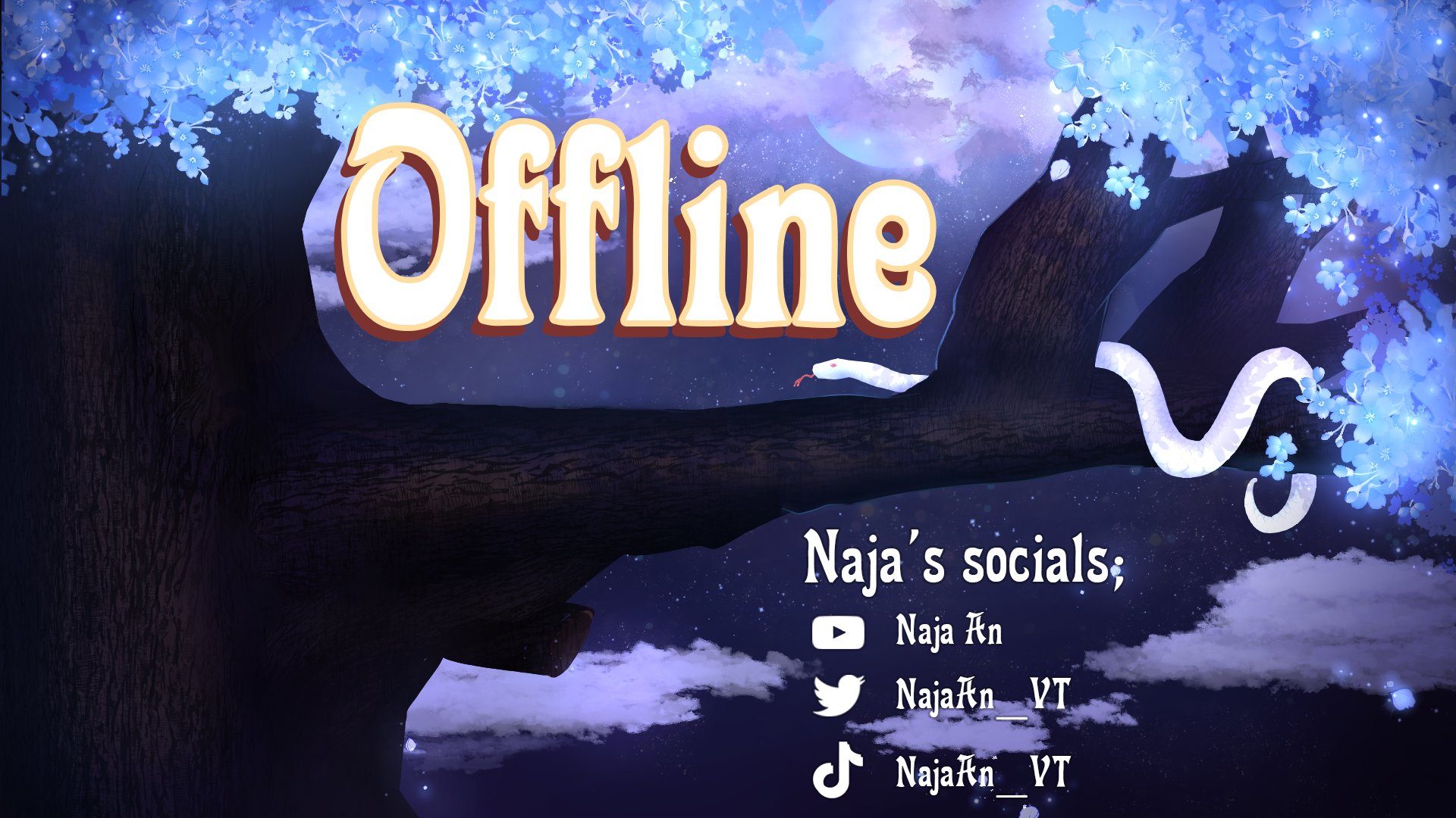 NajaAn_VT banner