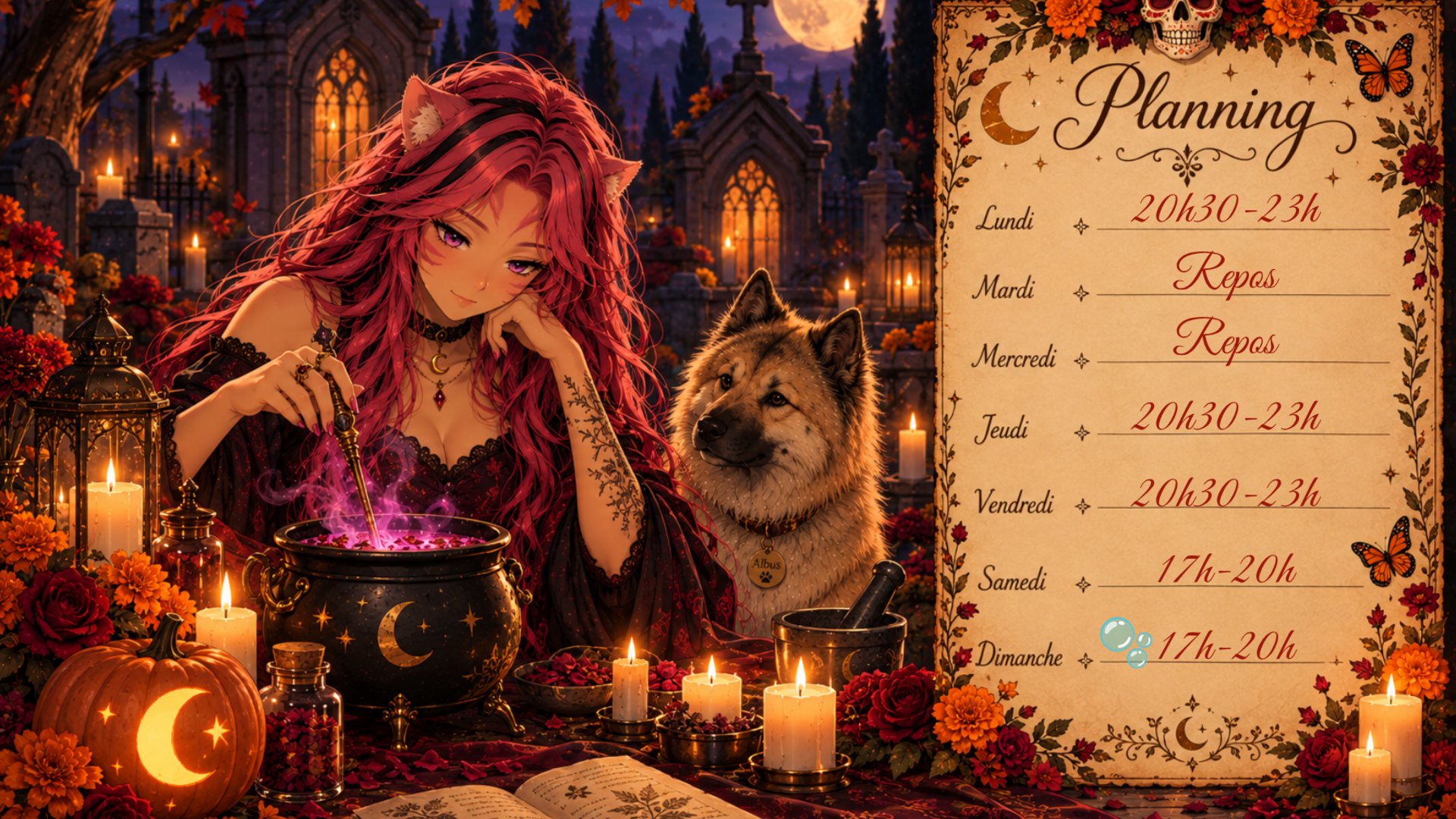 Nala_Universe banner
