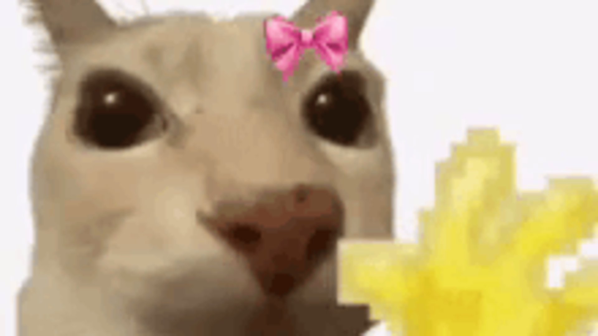 nani_248 banner