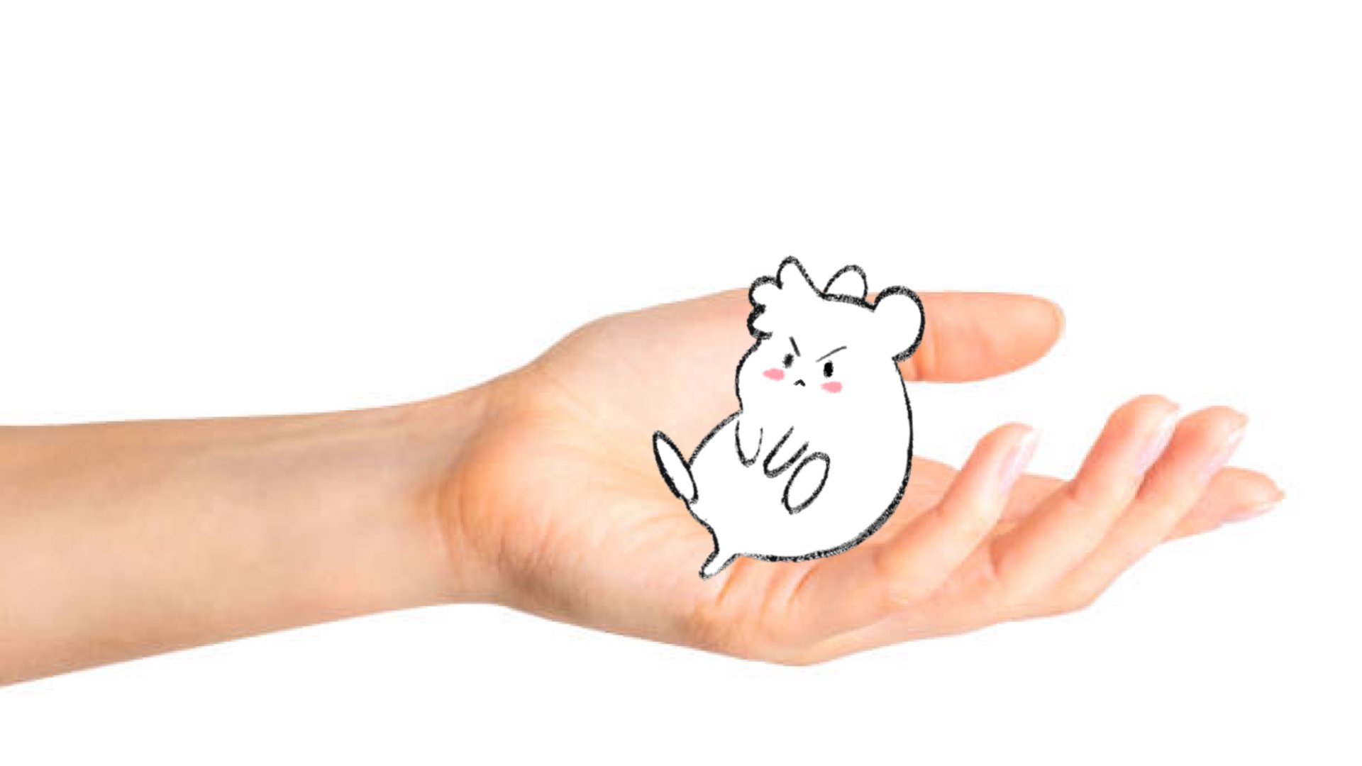 NapKinner banner