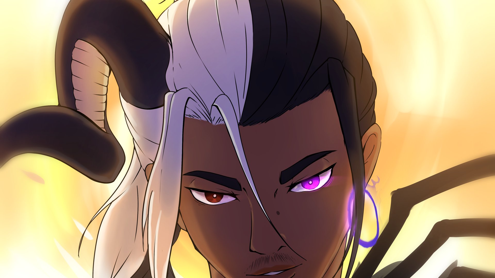 Narny banner