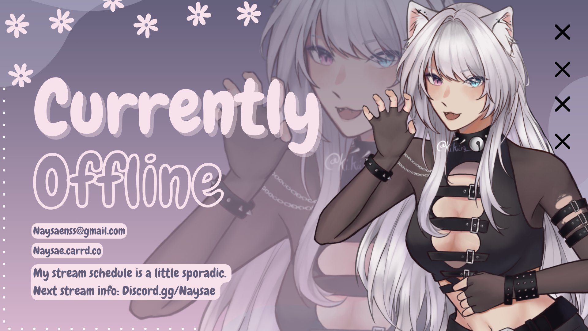 Naysae banner