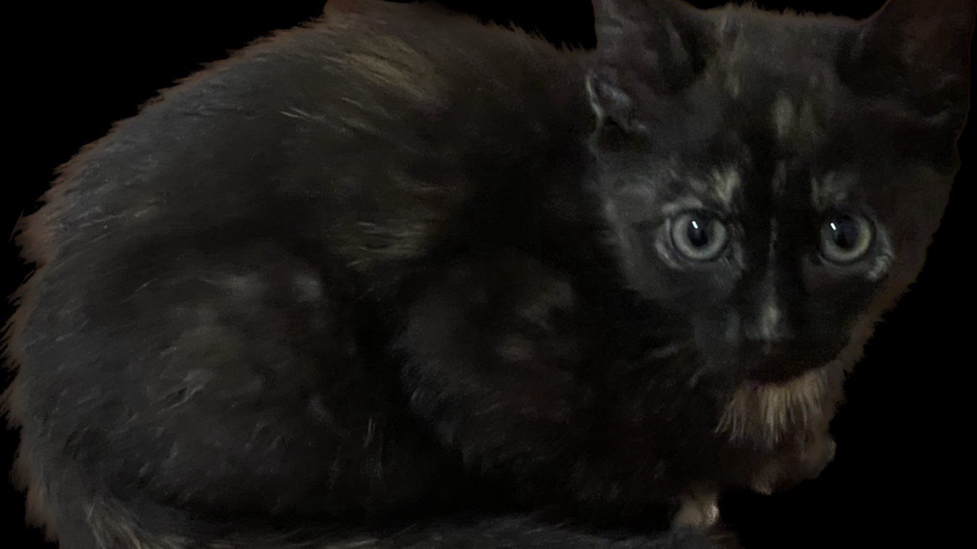 Nejt_v2 banner