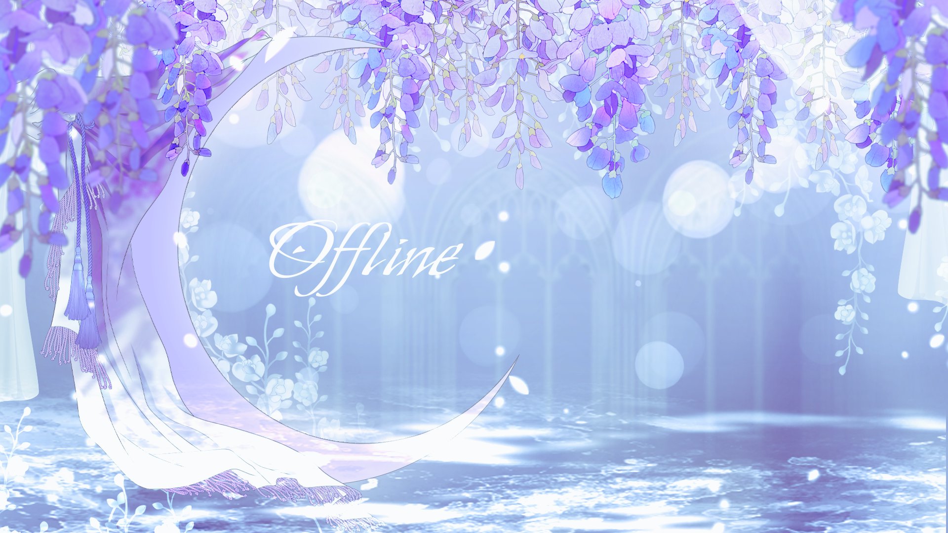 Starry Bean banner