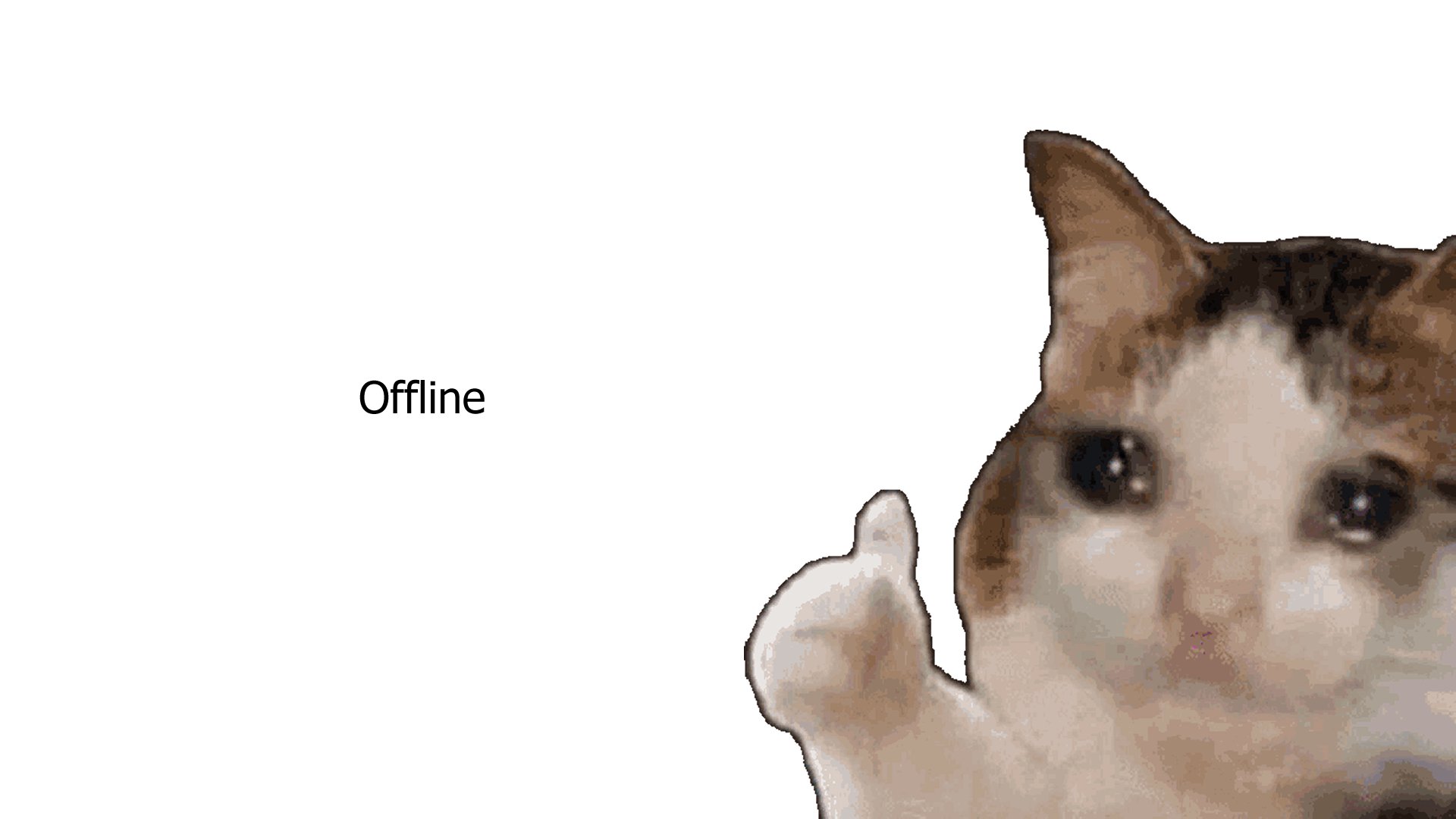 NekoVT banner