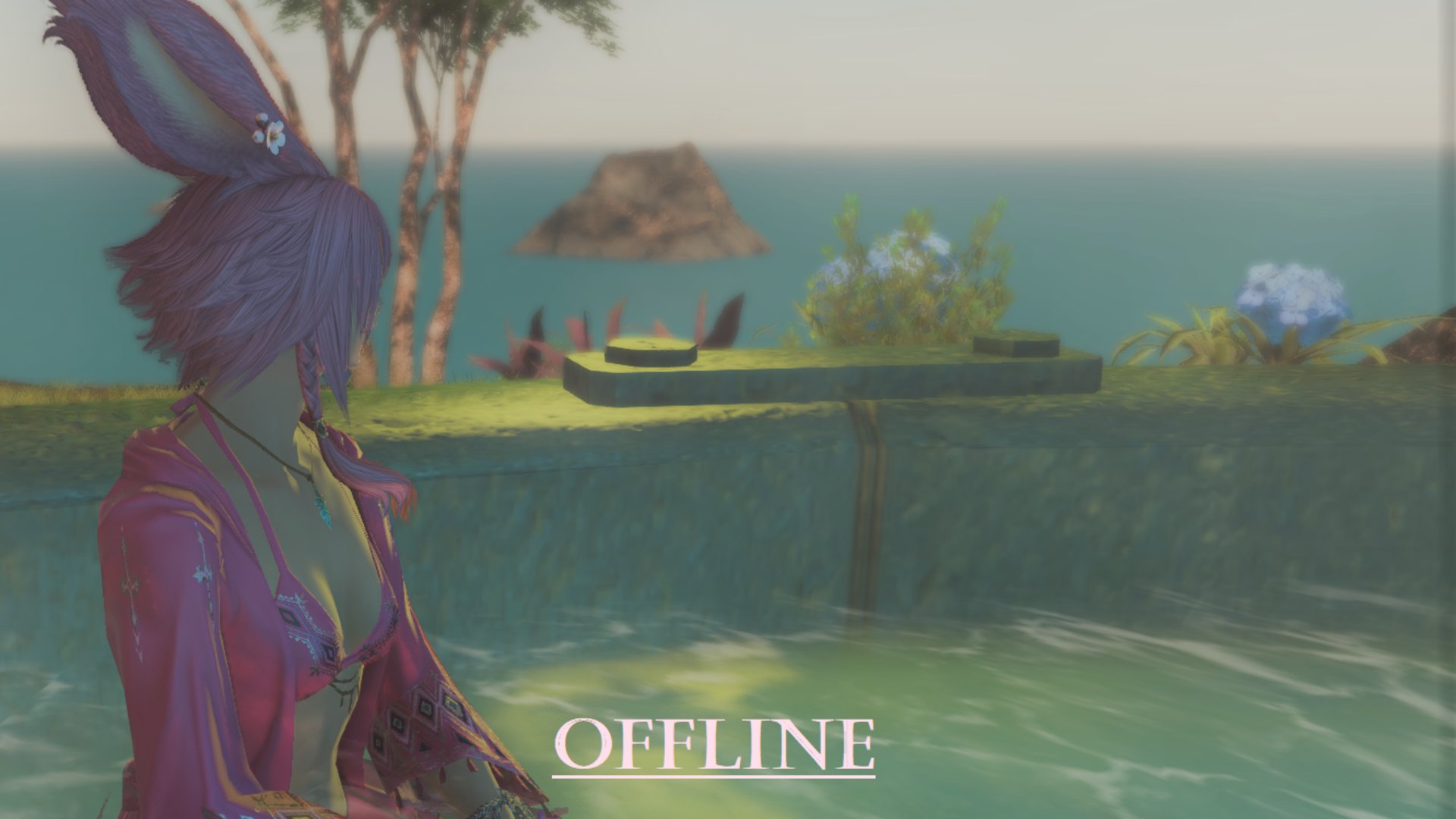 NicoP0l0 banner