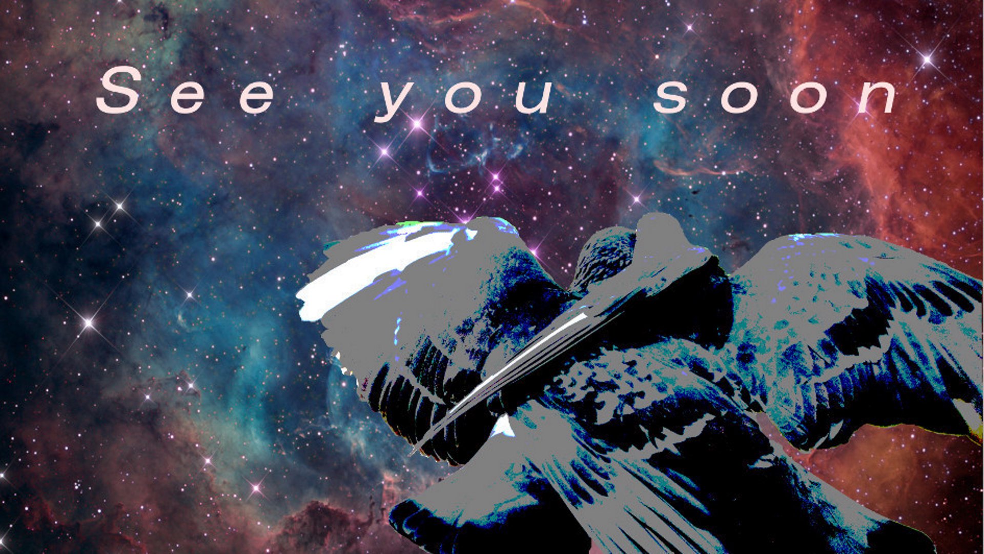 nifroth banner