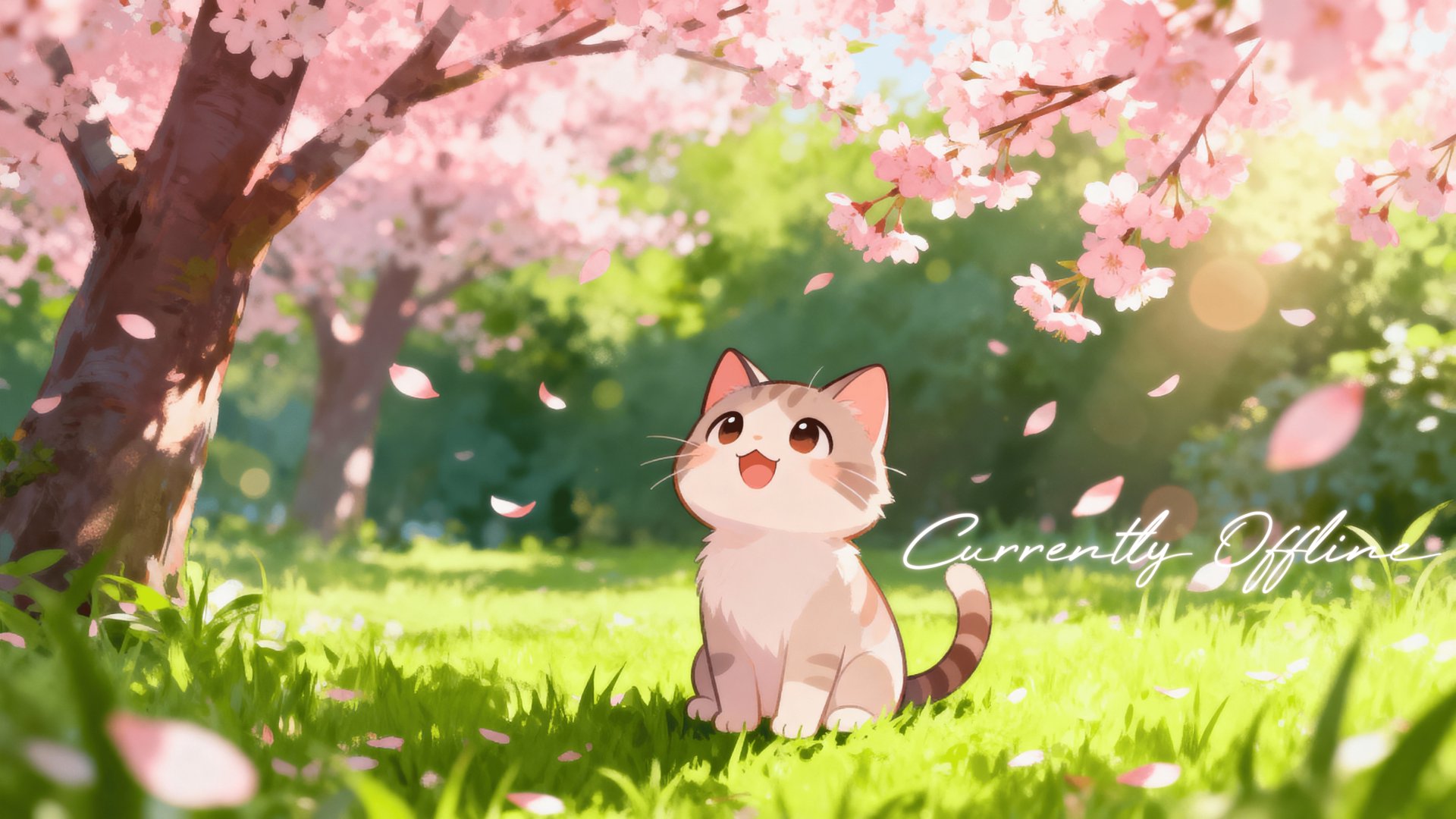 nirendoliie banner