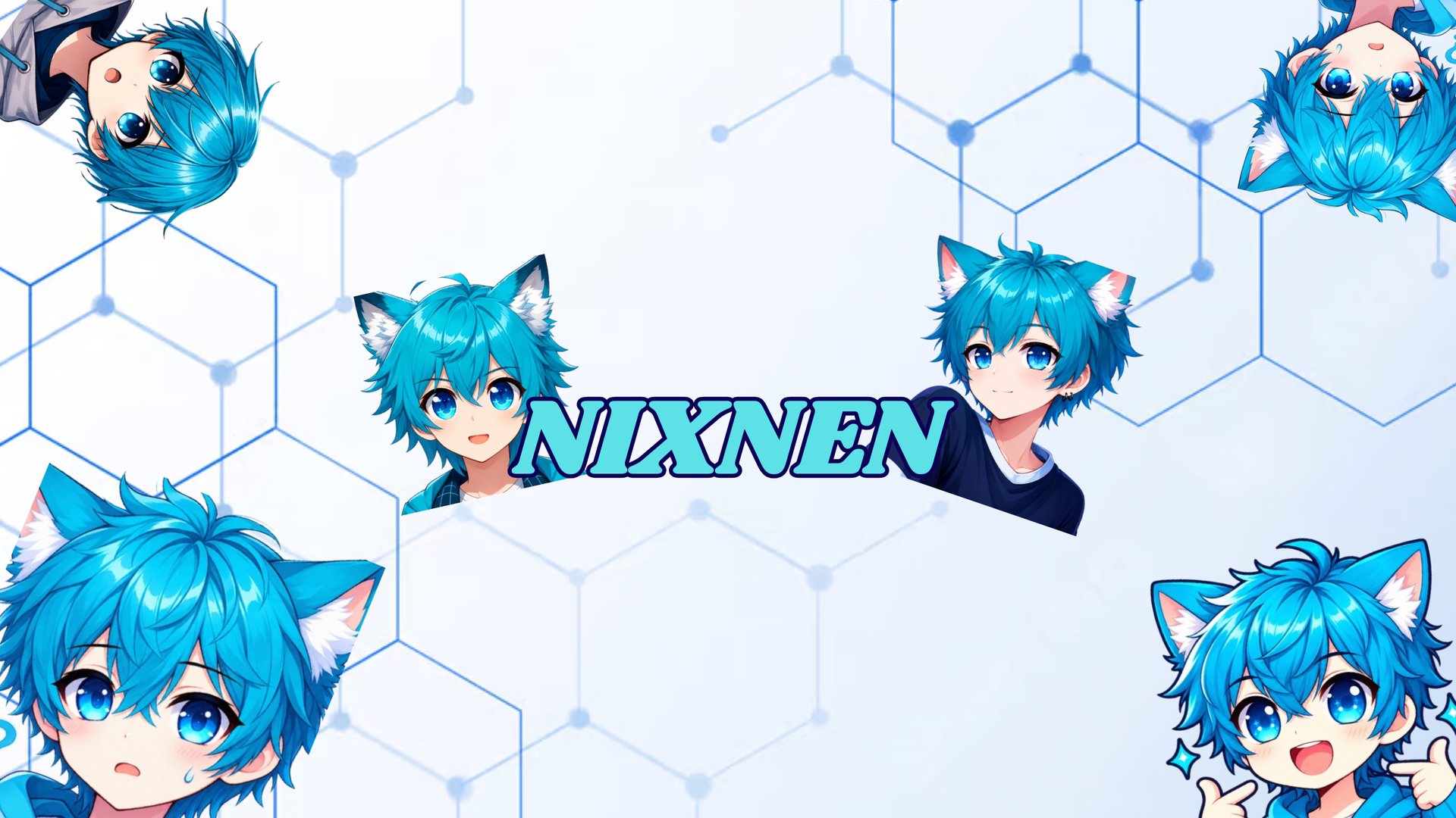 NixNenVT banner