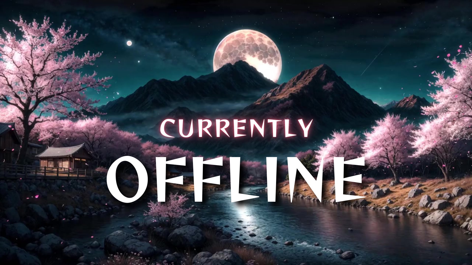 nocturnaecat banner