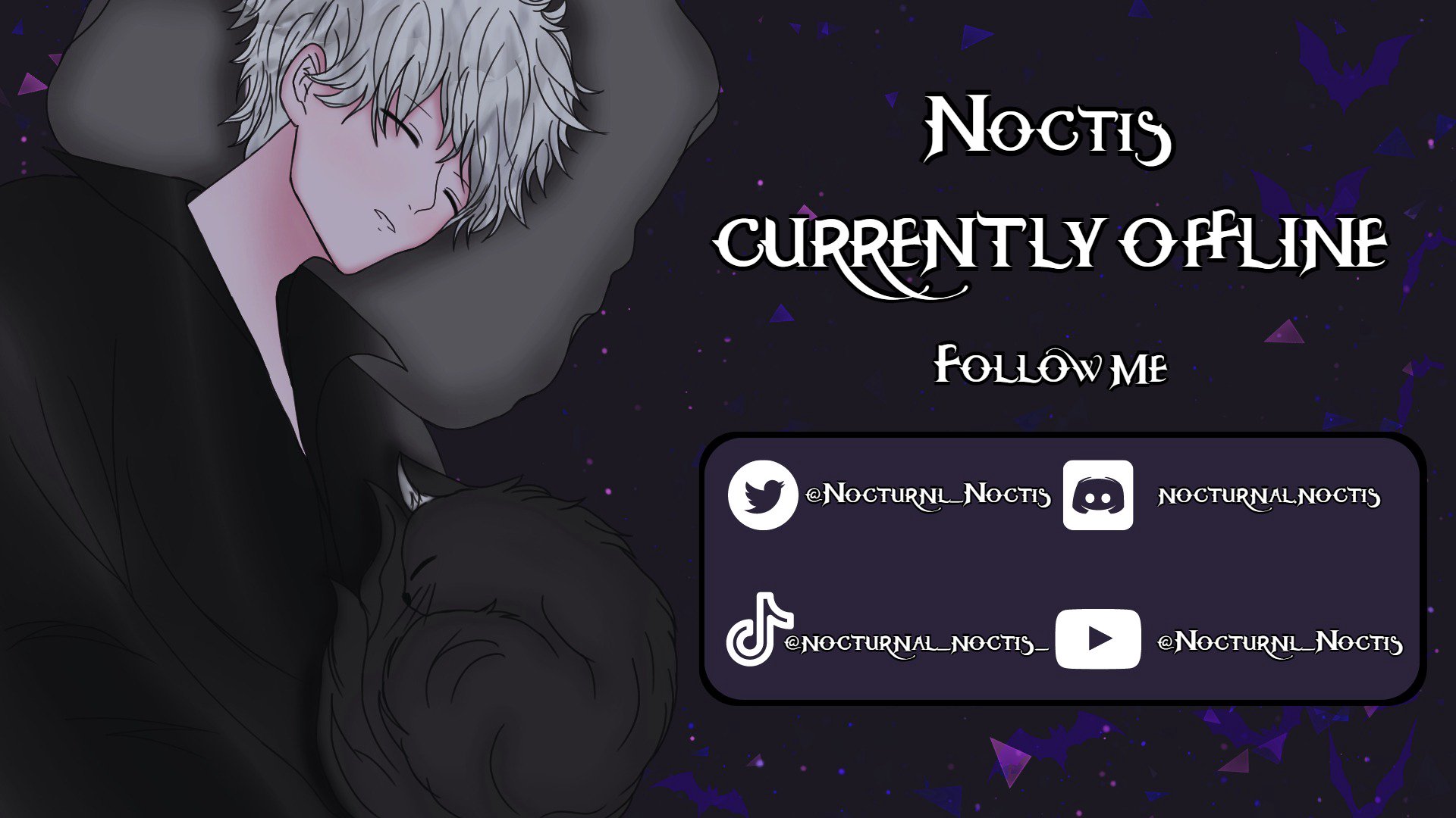 nocturnal_noctis banner