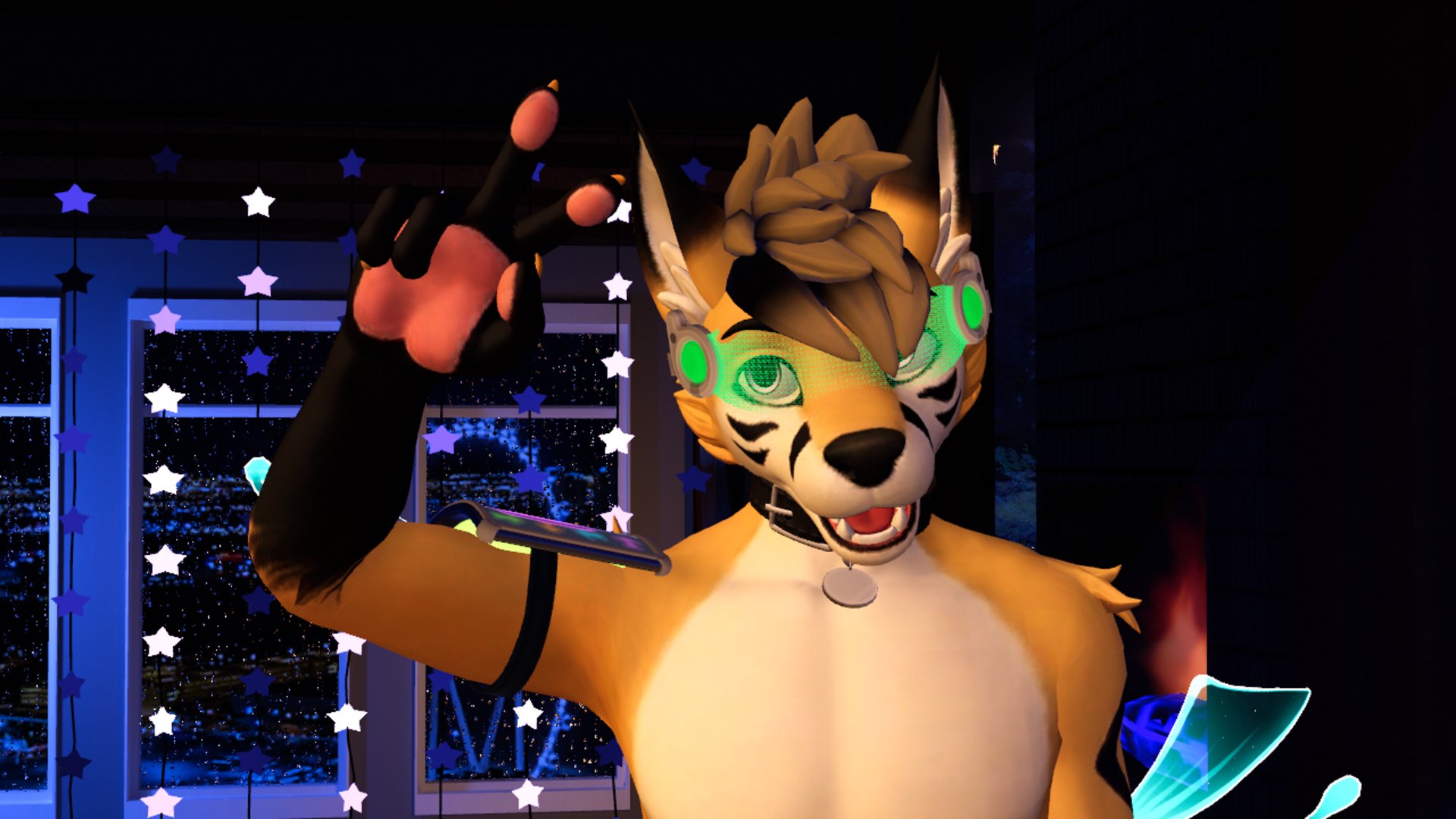 nollidr banner