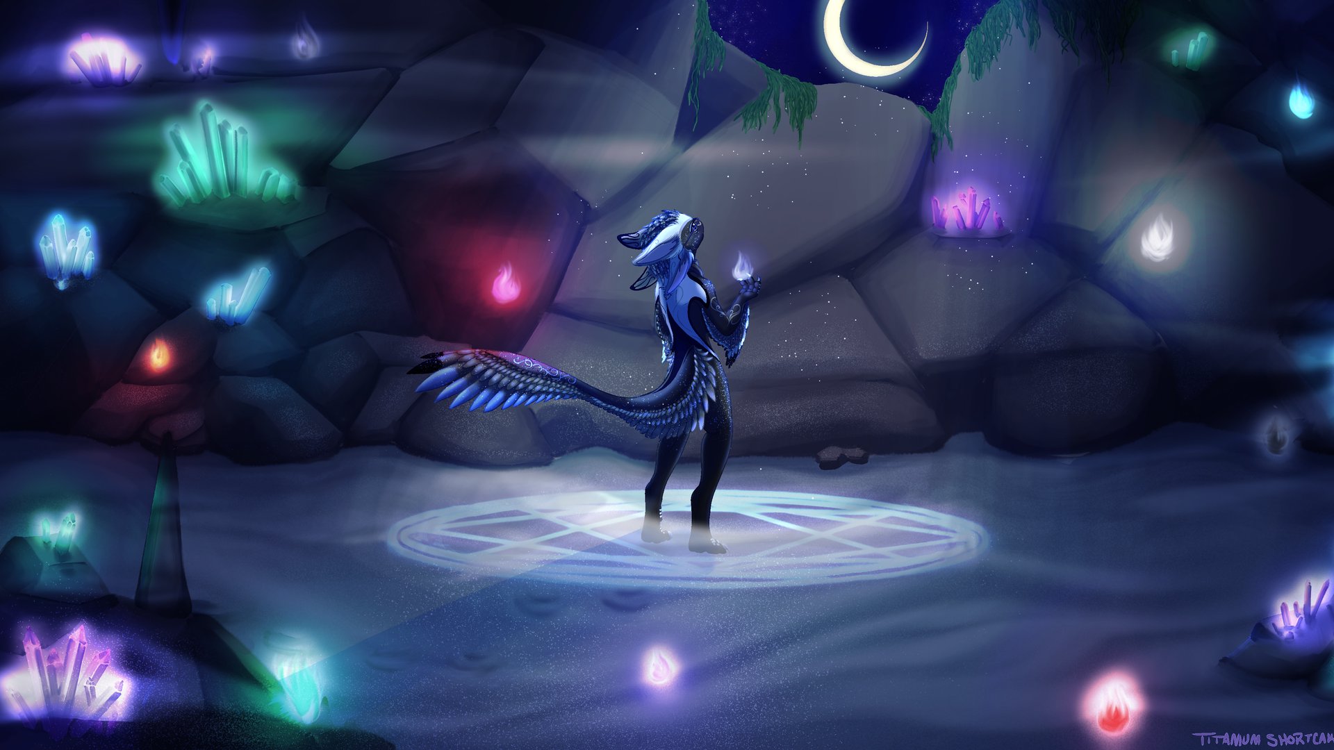 NoraVoilyn banner