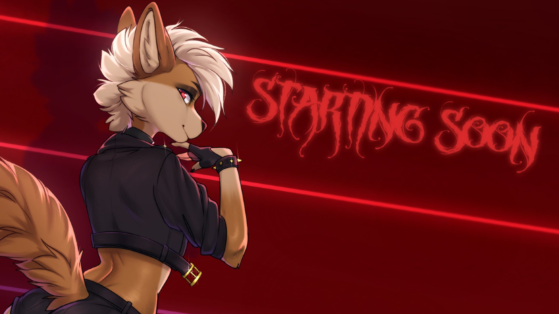 Nubbs banner