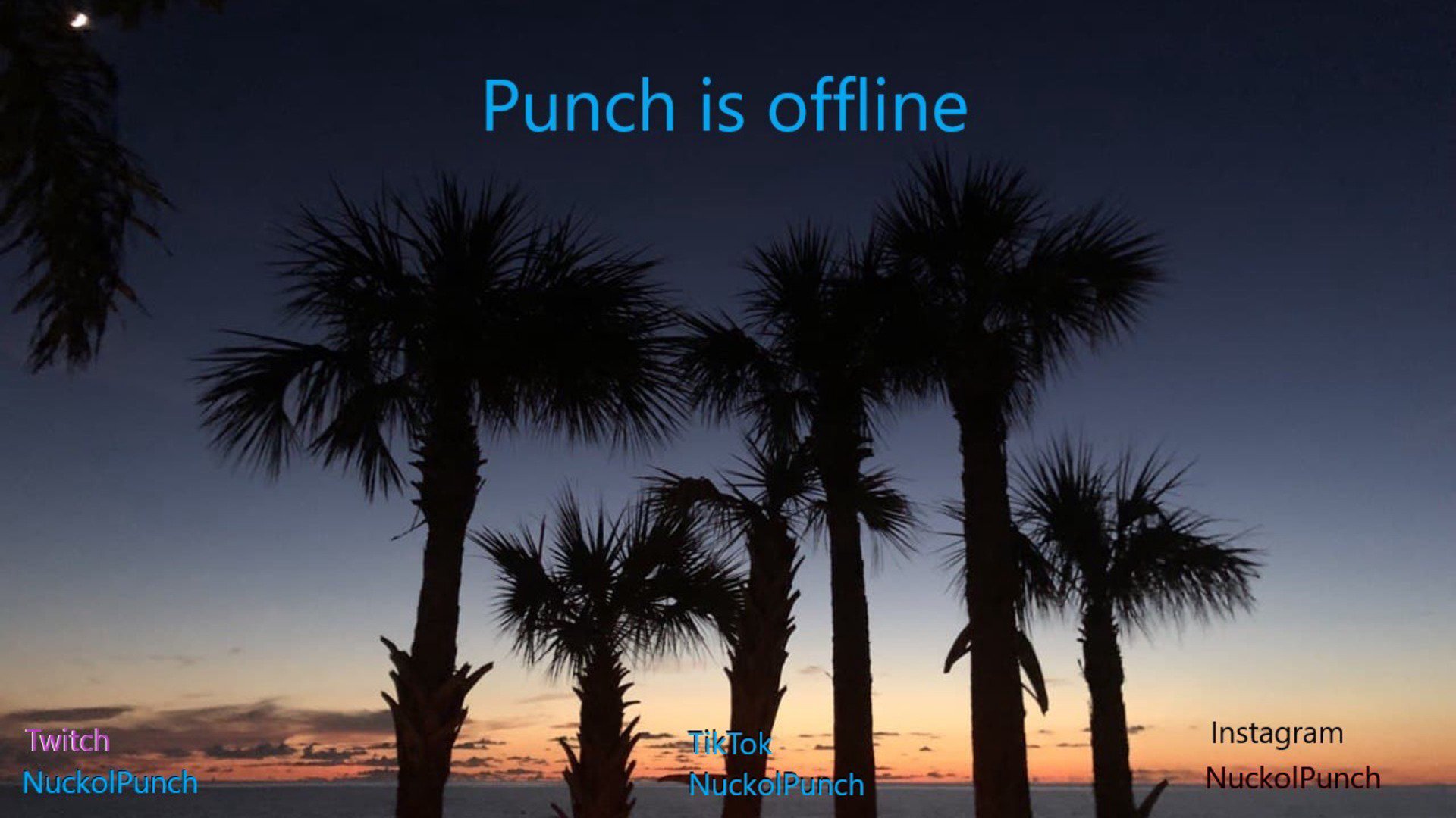NuckolPunch banner