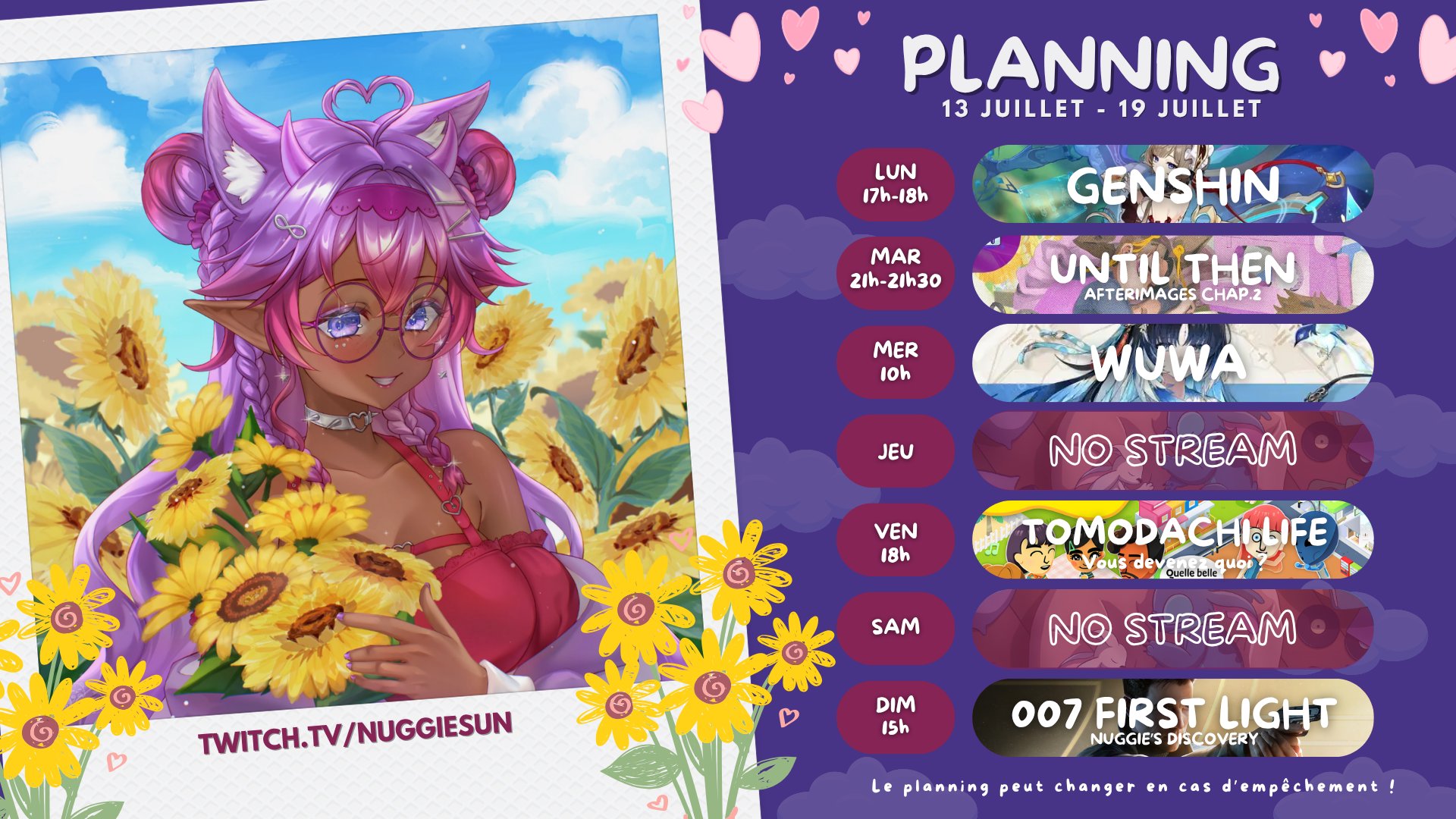 nuggiesun banner