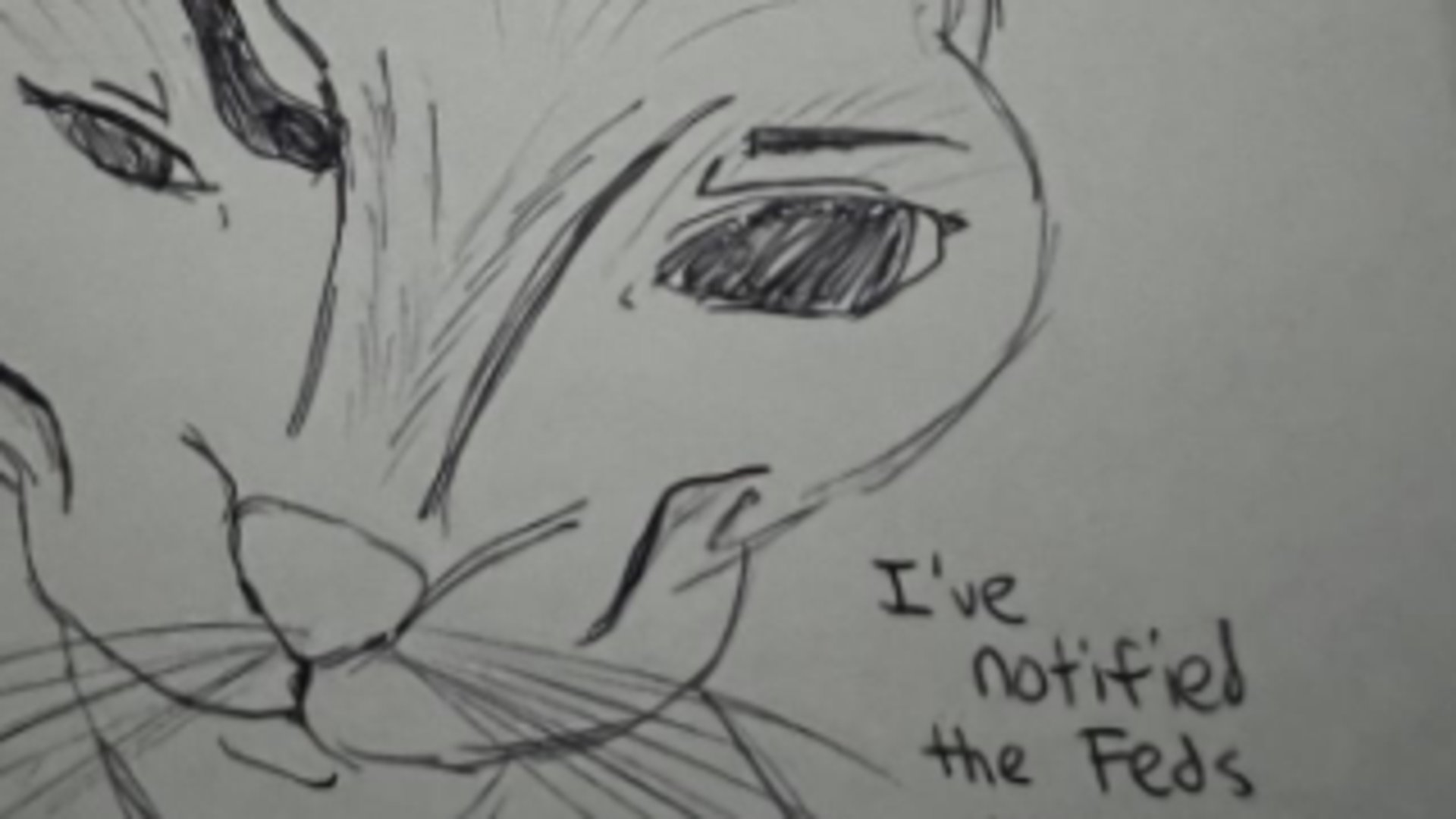 Nuggy__McNugget banner