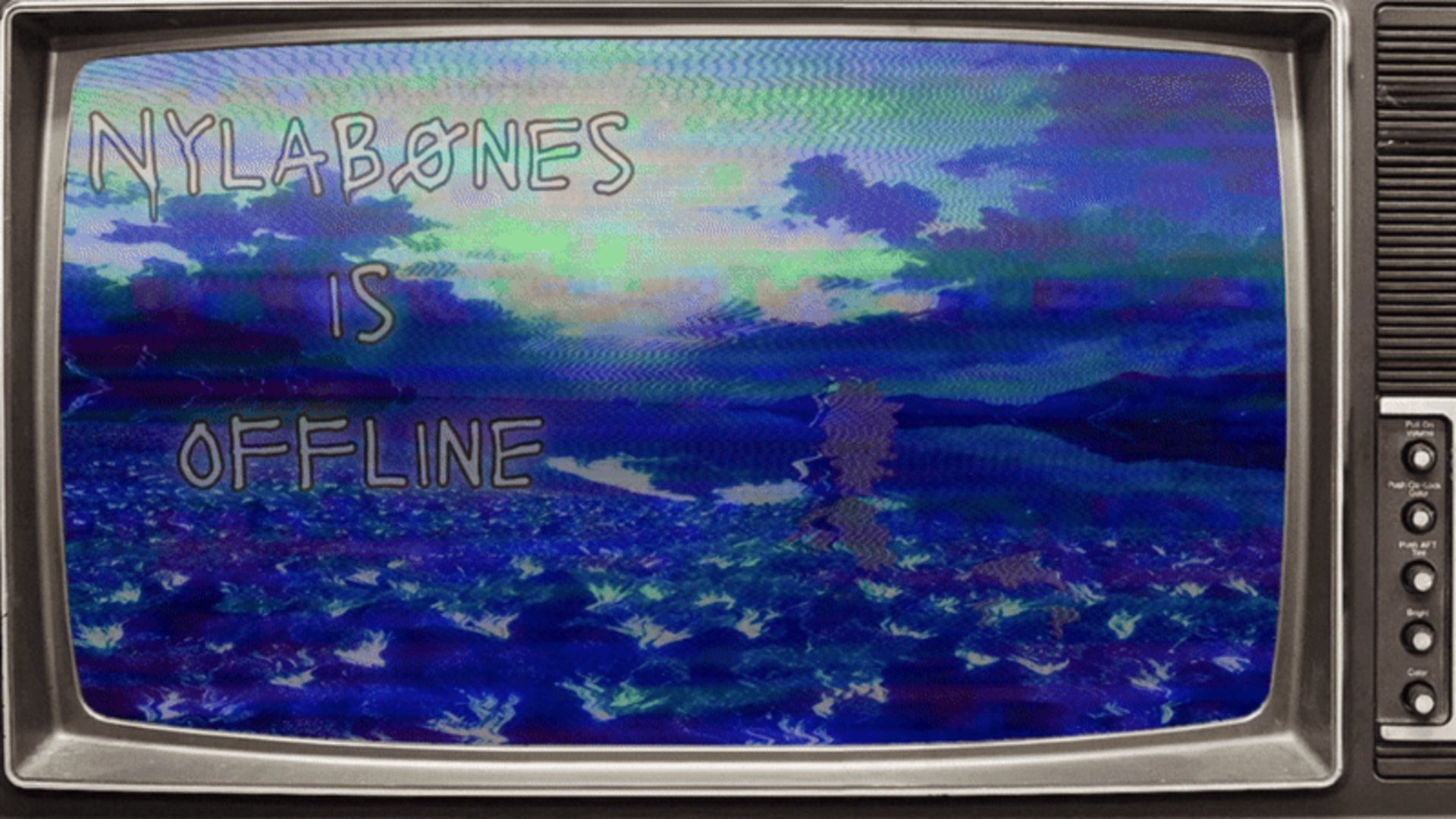 NylaB0nes banner