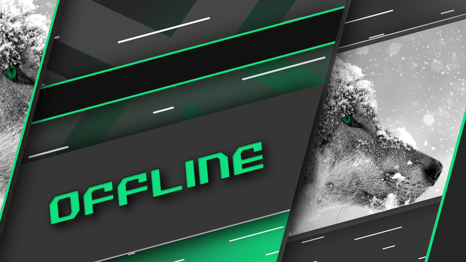 OgienGabrielvt banner