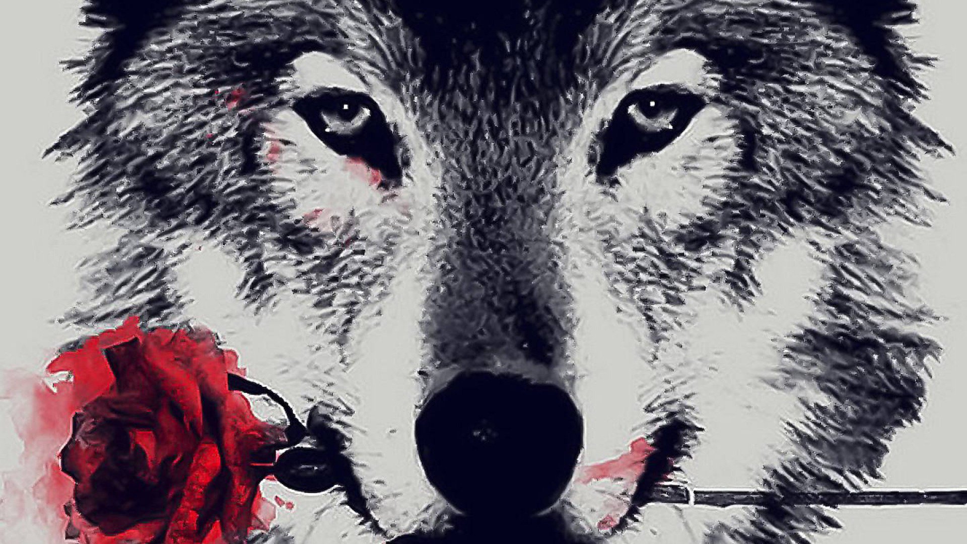 ogMarcoWolf banner