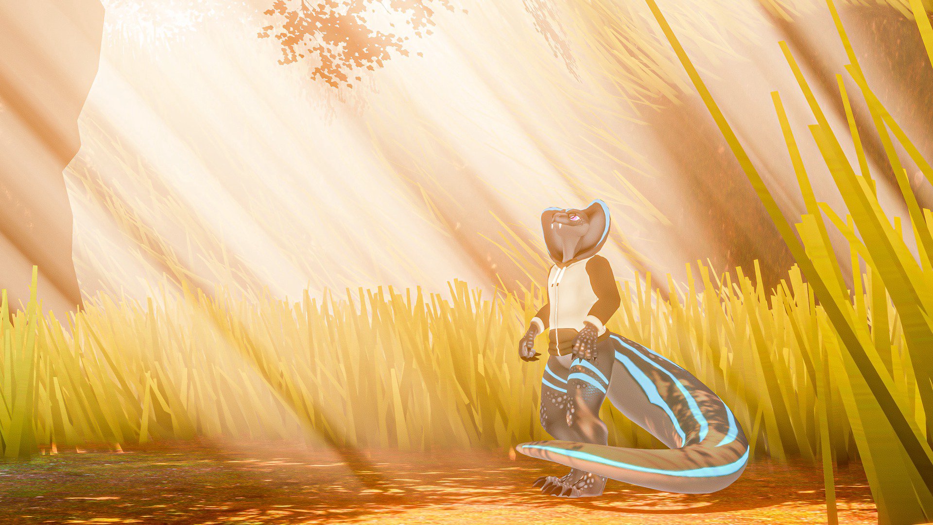 OkayDonuts banner