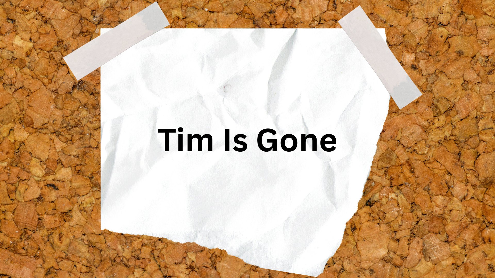 OnlyTimVT banner