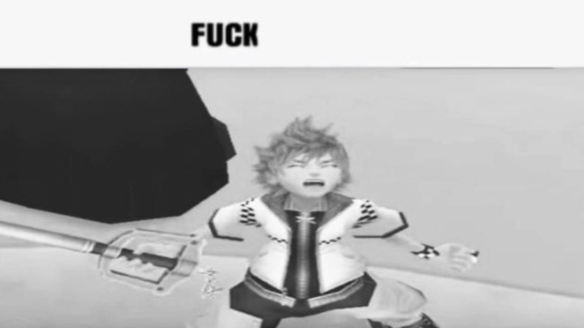 opidied banner