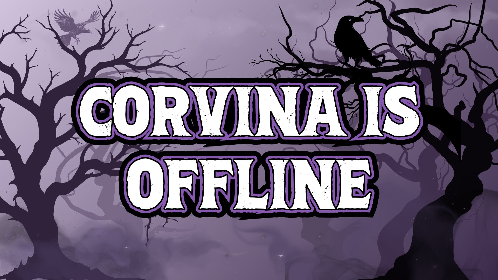 Corvina banner