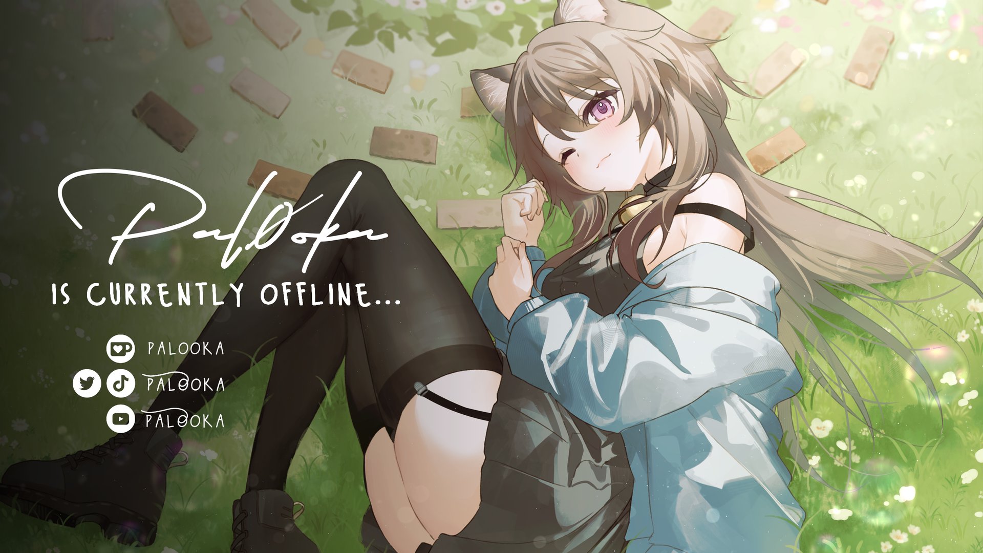 Pal0oka banner