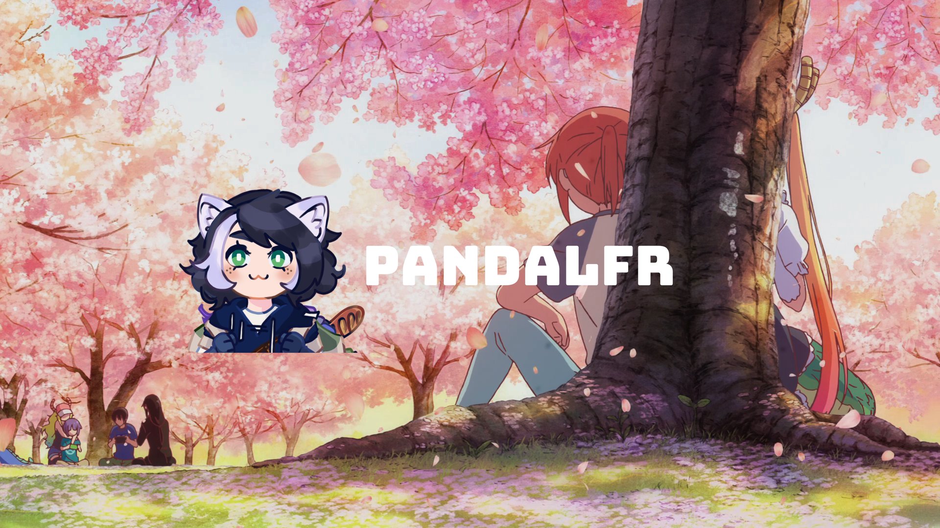 PandalfR_VT banner