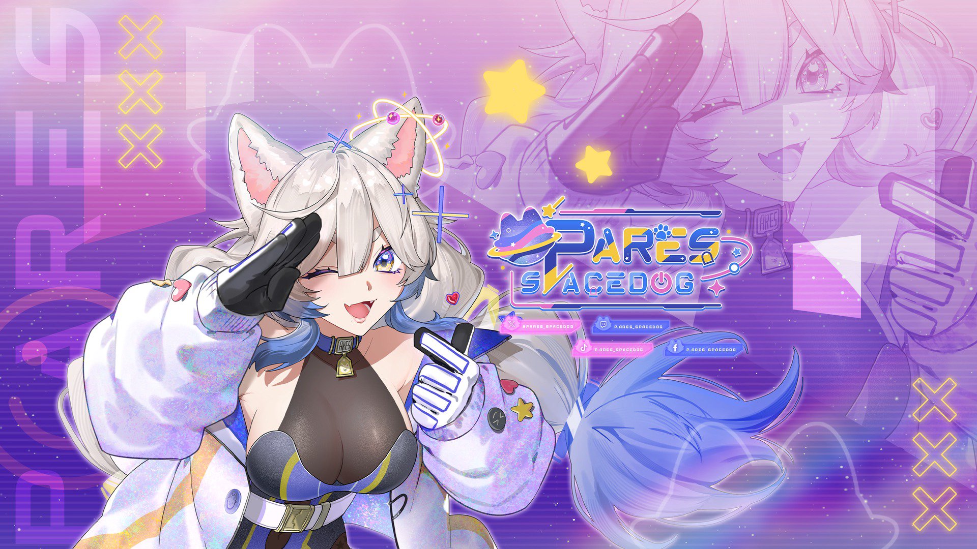 PAres Spacedog banner