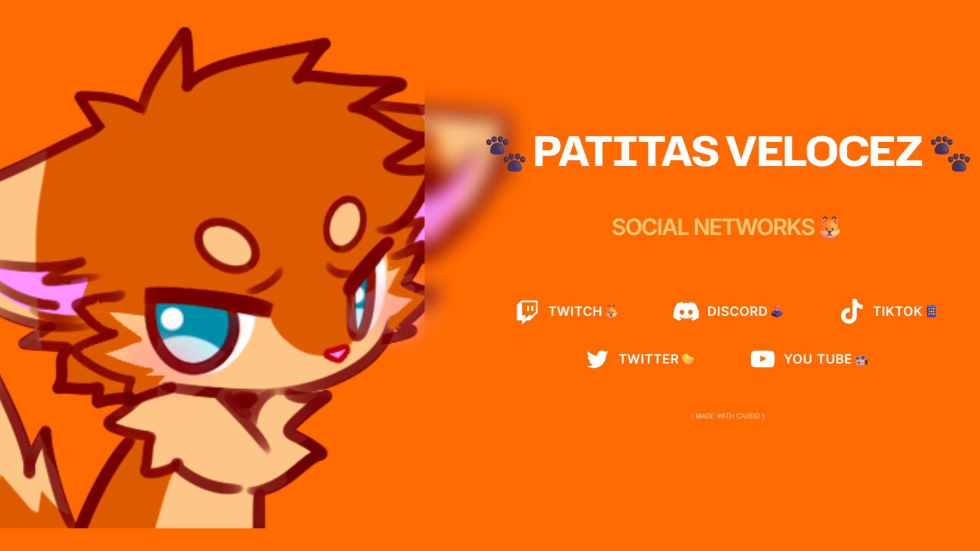 PatitasVelocez banner