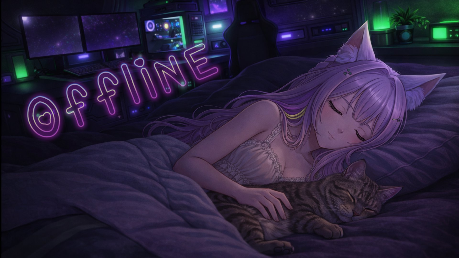 Patty9 banner