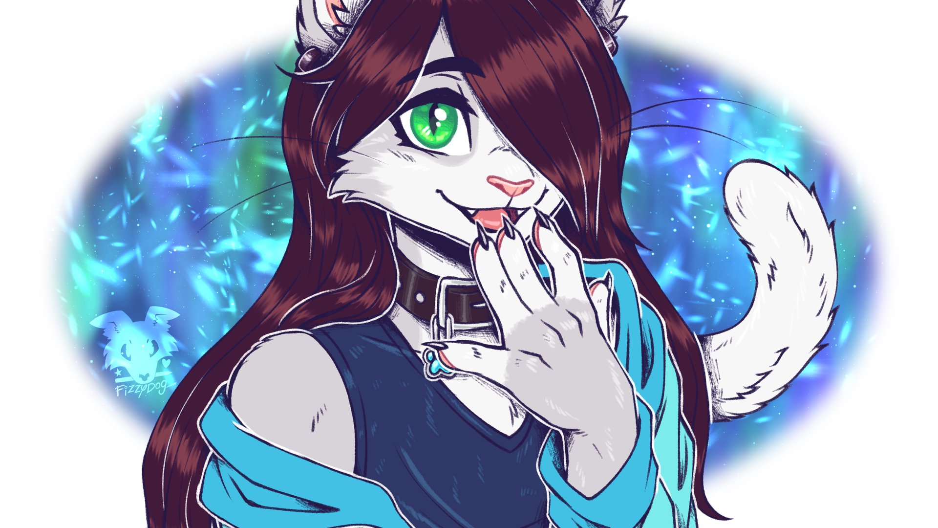 Pawkt banner