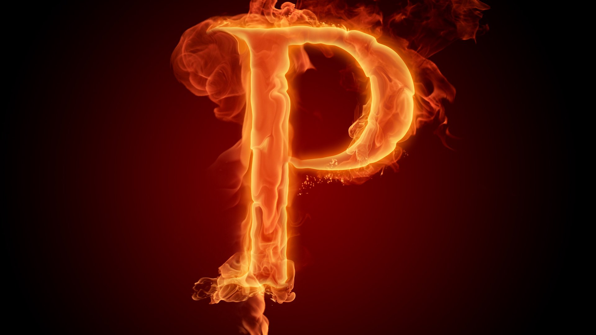 Payne05 banner