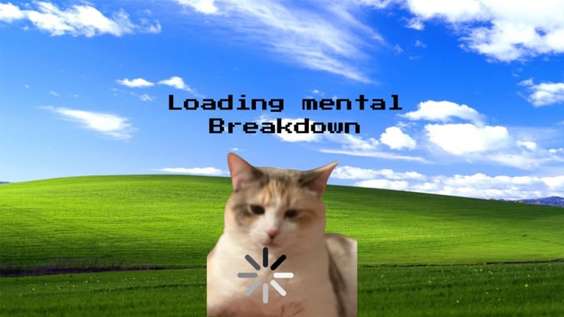 Pehng banner