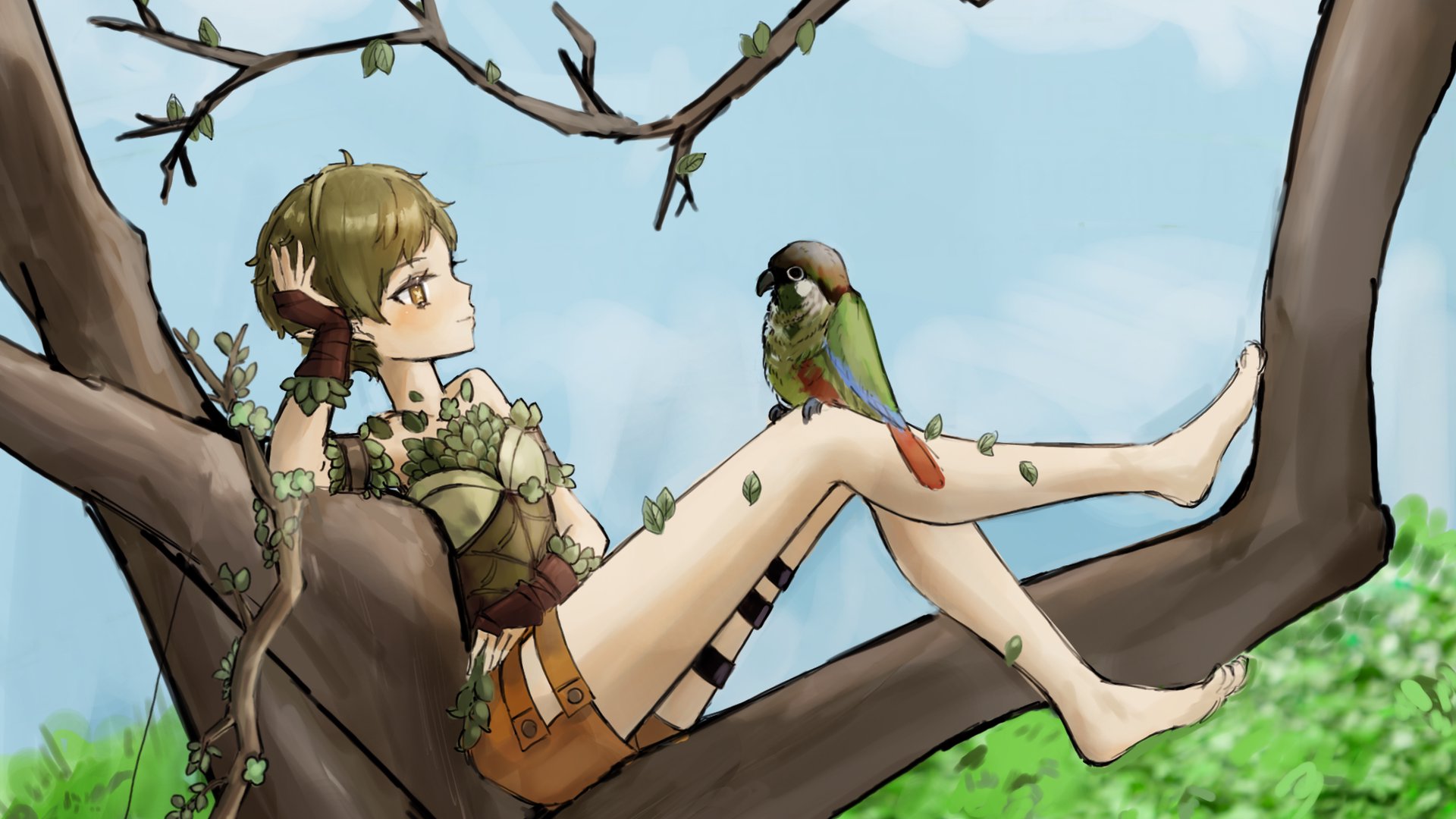 Pidgeonotte banner