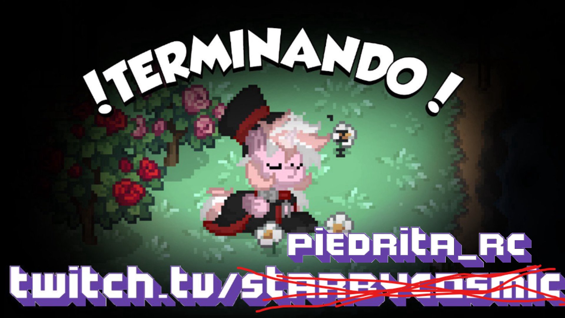 Piedrita_Rc banner