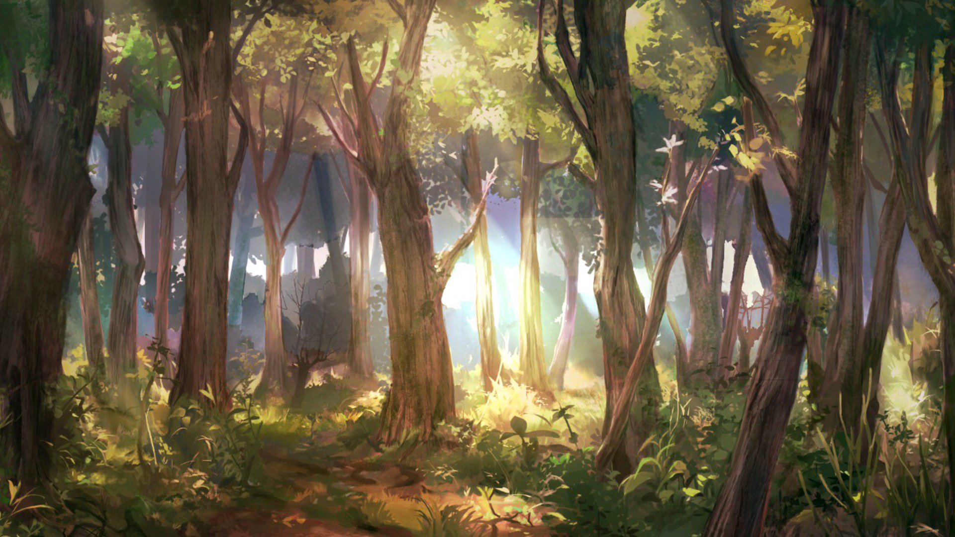 Piwo banner