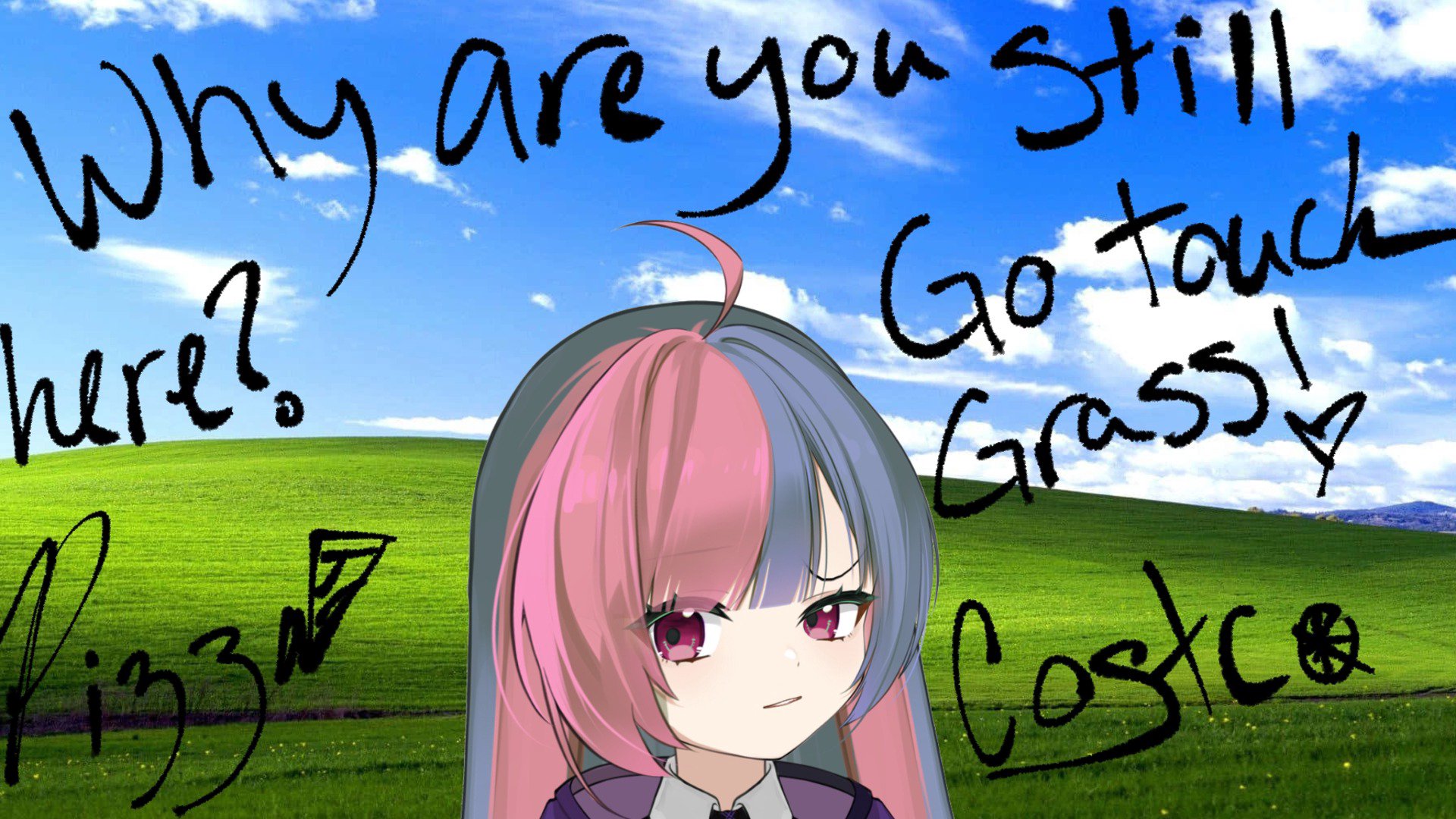 PizzaCostco banner