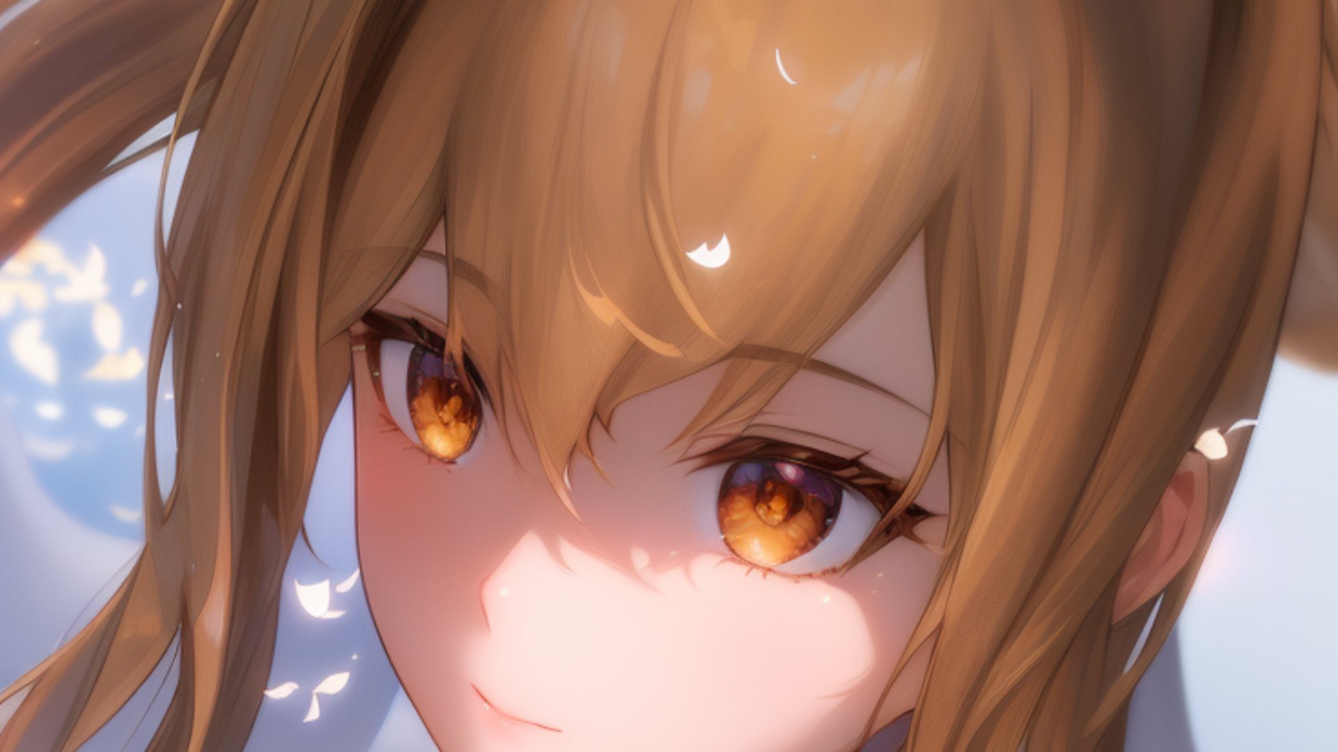 PkkPoint banner