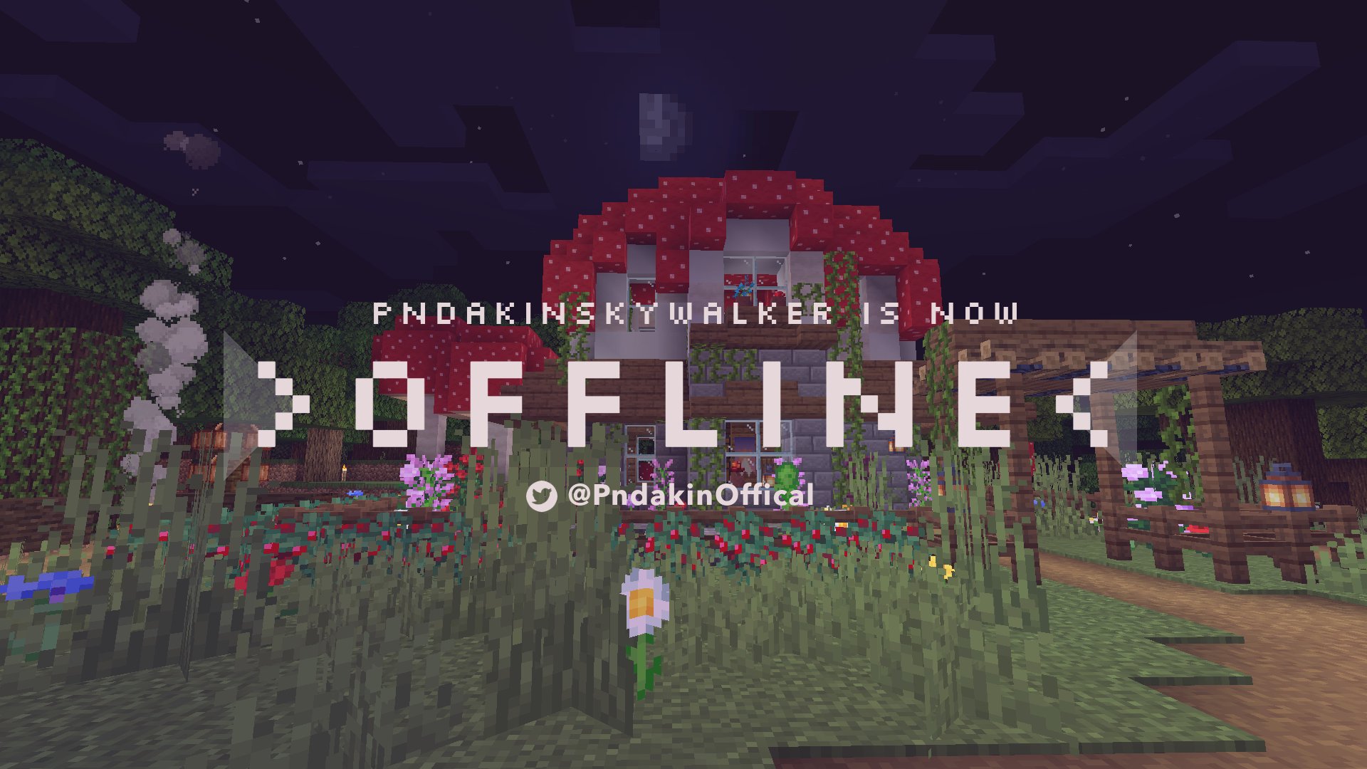 PndakinSkywalker banner
