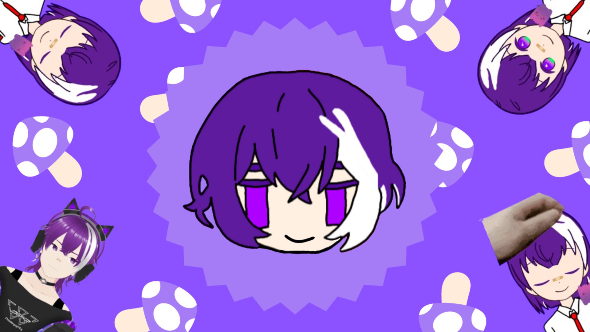 Promusrom banner